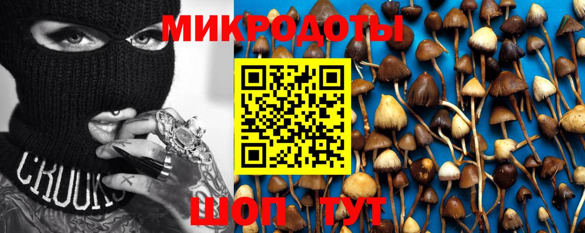 Псилоцибиновые грибы мухоморы  Галлюциногенные грибы мухоморы  Верхняя Пышма  Вход с VPN 